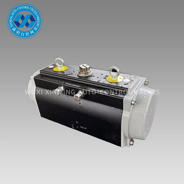 Anodized Pneumatic Actuator