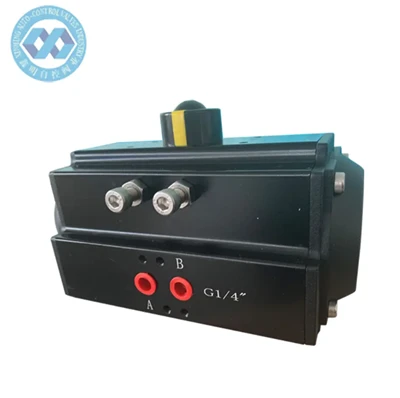 RT063D Pneumatic Asctuator